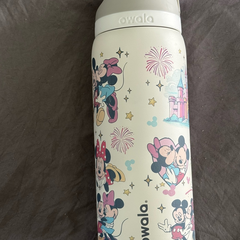 Owala Disney Water Bottle with Mickey and Minnie